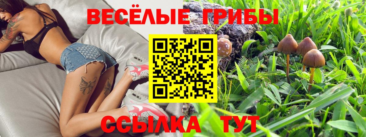 Псилоцибиновые грибы MAGIC MUSHROOMS Шахты