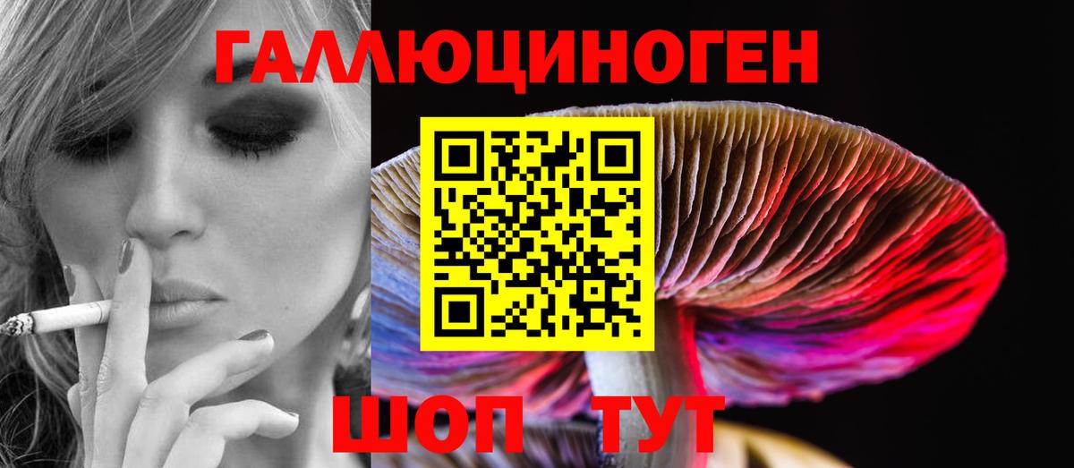 Шахты  Галлюциногенные грибы мицелий  Вход с VPN 